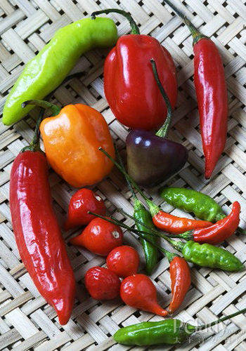 怎样吃辣椒对身体有益