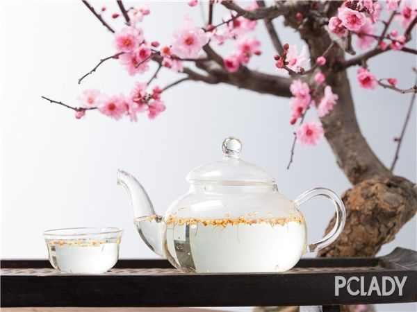 养金鱼的风水,养金鱼注意什么