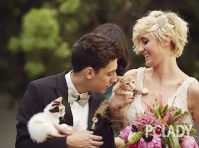 你结婚的时候会带上你的爱猫么？
