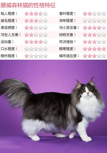 870481_nuoweisenlinmao1.jpg