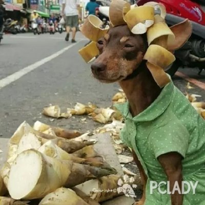 ҼʱУ......