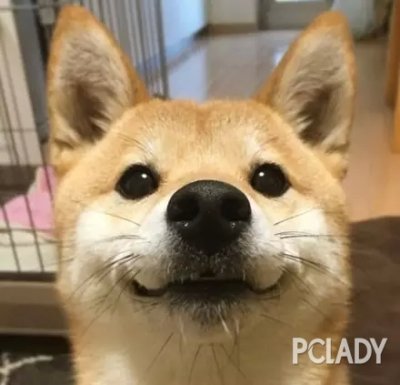 ЦĲȮһħ̫ˣ